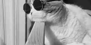 英超前瞻：伯恩茅斯VS西汉姆联，战术解析与比赛预测